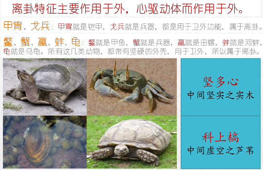 《易经雅说》视频教程